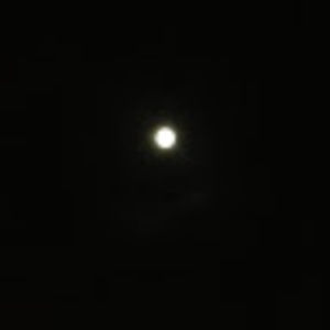 Meet your Posher, Sonia